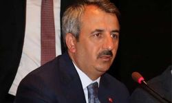 Edirne Valisi Sezer'den 'sokağa atılan hayvanlar' çıkışı: Zenginlerin fantezileriyle uğraşacak halimiz yok