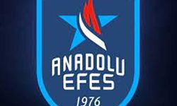 Anadolu Efes’ten Cumhuriyet’in 100. yılına özel logo