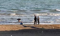 Eğirdir Gölü'nde bulunan 10 el bombası imha edildi
