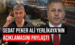 Ali Yerlikaya'dan Sedat Peker'in gündeme getirdiği Mersin Limanı'na muz operasyonu! Bu kez kokainin sahibi de gözaltında