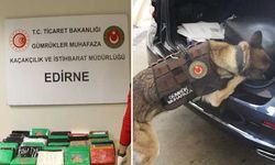 Büyükelçilik aracında uyuşturucu skandalı! 55 kilo kokaini Türkiye'ye sokarken yakalandılar