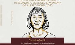 Nobel Ekonomi Ödülü'nün sahibi Harvard profesörü Claudia Goldin oldu