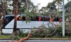 Antalya'da servis otobüsünün üstüne çam ağacı devrildi: Yedi yaralı