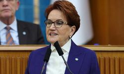 Meral Akşener ile İYİ Parti arasında ipler koptu: Fotoğraflarım tüm makamlardan indirilsin