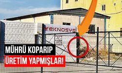 Atatürk Orman Çiftliği arazisinde kaçak fabrika! Sekiz kapısı birden mühürlendi