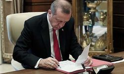 Erdoğan TÜİK bölge müdürünü görevden aldı