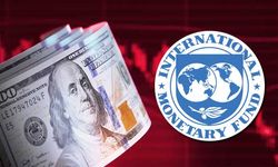 IMF'den merkez bankalarına kritik uyarı!