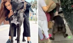 Ağızlıksız sokağa çıkardığı köpeği başka köpeği parçalayarak öldüren Banu Parlak’a para cezası