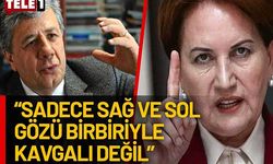 Mustafa Balbay Akşener hakkında 'pes' dedirtecek ayrıntıyı verdi: Vekilleri...