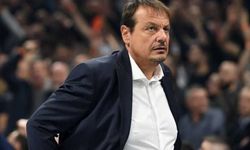 Panathinaikos'tan Ergin Ataman'a yeni sözleşme