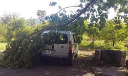 Muğla’da fırtına etkili oldu! Ağaçlar otomobillerin üzerine devrildi