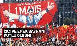 1 Mayıs’ın acı öyküsü! Dar ağacında dört fidan...