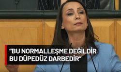 Tülay Hatimoğulları'ndan 'siyasette normalleşme' tepkisi