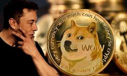 Dogcoin’in yüzü fenomen köpek Kabosu hayatını kaybetti