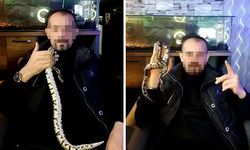 Evinde iki tane kraliyet pitonu ele geçirildi! 25 bin lira ceza