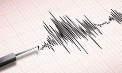 Muğla'da korkutan deprem