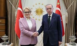 Erdoğan-Akşener görüşmesindeki ‘cumhurbaşkanı yardımcılığı’ iddiasına İYİ Parti’den açıklama