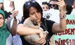 AKP’nin sokak köpeklerinin uyutulmasını öngören yasa teklifi protesto edildi: Onları öldürmek çözüm değil