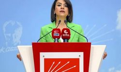 CHP'li Taşcıer'den asgari ücret açıklaması: Siyasi bir bedeli olacaktır