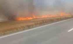 Tekirdağ'da buğday tarlasında yangın!