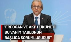 CHP'den Suriye açıklaması: ÖSO mensuplarının Türk bayrağını yakması kabul edilemez