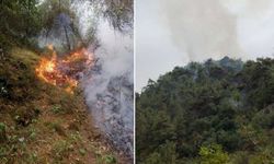 Karabük'te yıldırım düşen ormanda yangın çıktı!