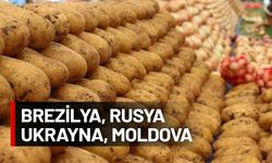 Tarım ülkesiydik ne hale geldik! 4,1 milyar dolara patates soğan aldık