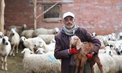 Fenomen muhtar adayının ‘dolandırıcılık’ iddiası! Şüpheliler ifade verdi