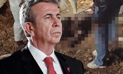 AKP'li belediyedeki hayvan katliamı sonrası Mansur Yavaş cephesinden açıklama