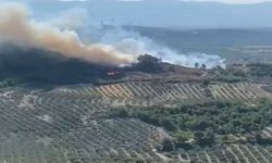 Tunceli, Manisa ve Kahramanmaraş'ta orman yangını