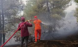 Kahramanmaraş'ta orman yangını