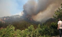 Ankara-Bolu sınırındaki orman yangınında bir kişi tutuklandı!