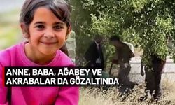 Narin'in ölümüyle ilgili yürütülen soruşturmada gözaltı sayısı 24'e yükseldi