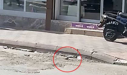 Adana'da sokak ortasında el bombası bulundu