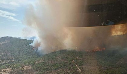 İzmir'de çöplükte yangın! Alevler ormana sıçradı