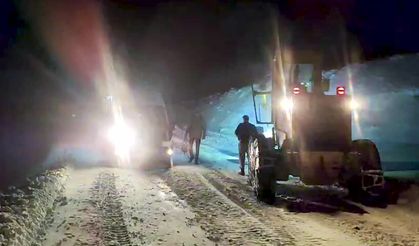 Van'da 9 yerleşim yeri ulaşıma kapandı