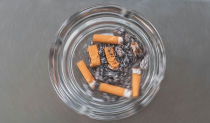 Sigara kullanımında 'üniversite' detayı