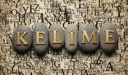 2025 yılının kelimesi belli oldu