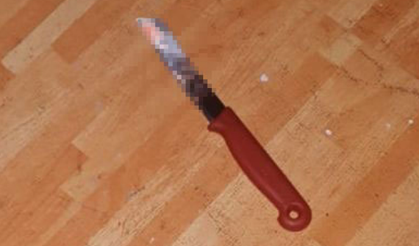 Meyve bıçağıyla babasını katletti