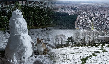 İstanbul yeni yıla karla girdi! İşte kartpostallık manzaralar