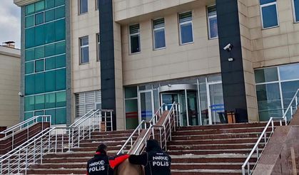 Evden kilolarca uyuşturucu üretecek saf bonzai çıktı