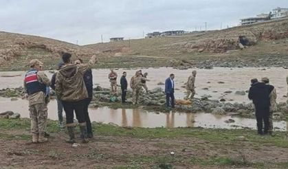 Şanlıurfa'da derede erkek cesedi bulundu