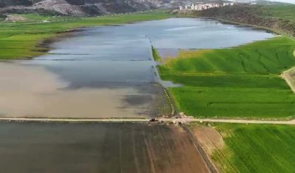 Gaziantep'te su altında kalan ekili tarım arazilerinde tahliye çalışmaları