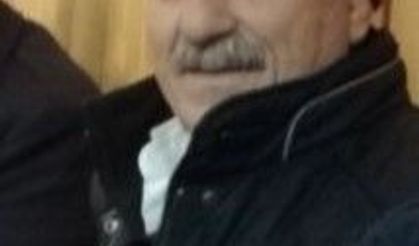 Kovana bakım yaparken boğazından arı soktu, öldü