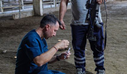 Hayvan yakalama timi, kaçan kurbanlıklar için göreve hazır
