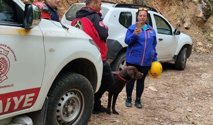 Kayıp demans hastası ormanda ölü bulundu