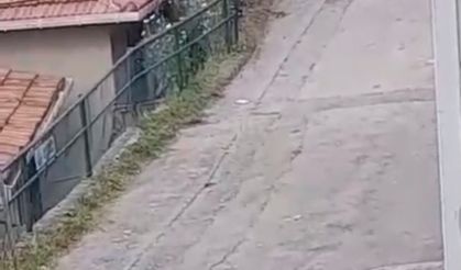 Sarıyer'de evini boyarken bahçede kalaşnikof ve el bombaları buldu