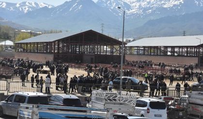 Van'da hayvan pazarında kavga; 1 ölü, 13 yaralı