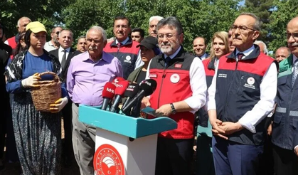 Tarım ve Orman Bakanı Yumaklı, Malatya'da kayısı hasadına katıldı: