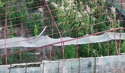 İzmir'de uyuşturucu operasyonu: 1 şüpheli tutuklandı
